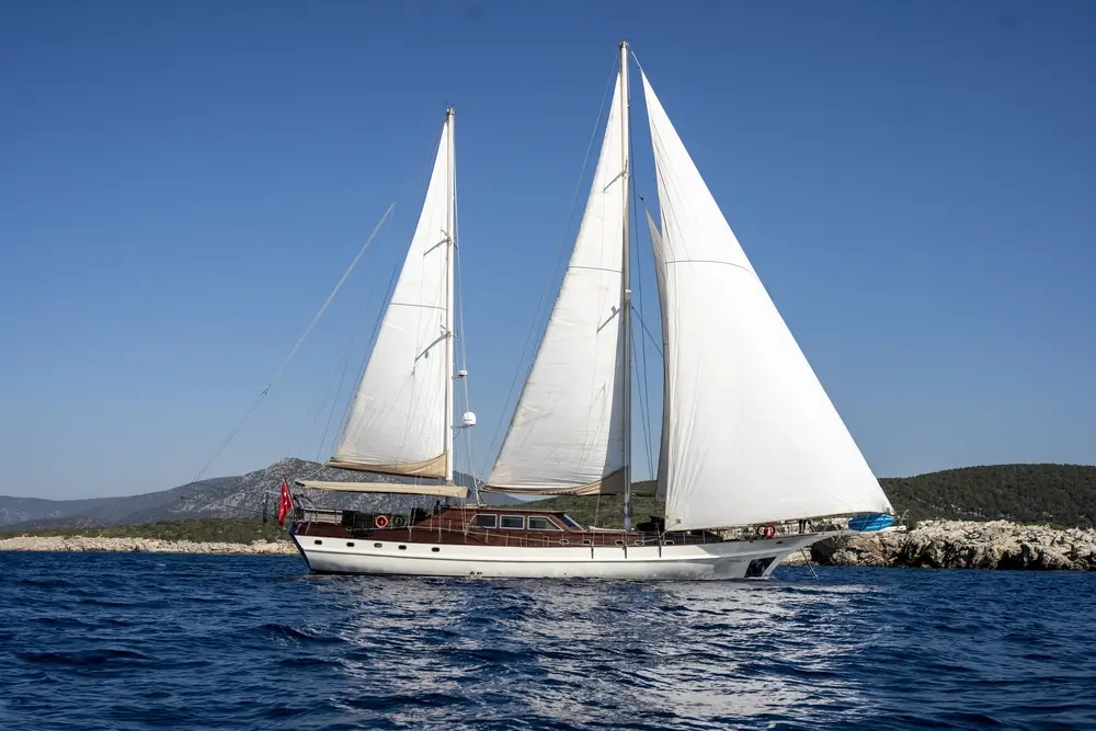 Arabella - 10