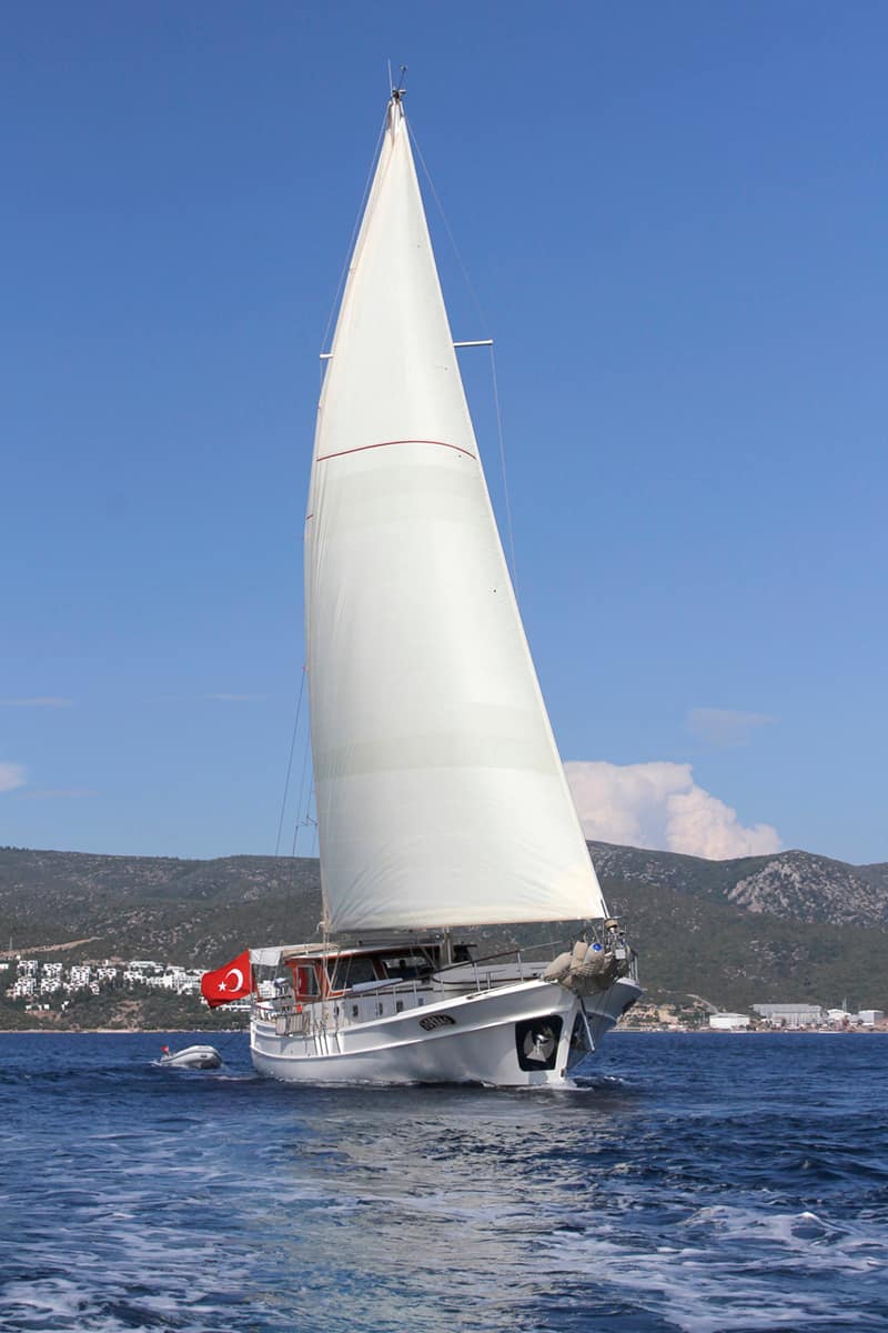 Zorbas - 4